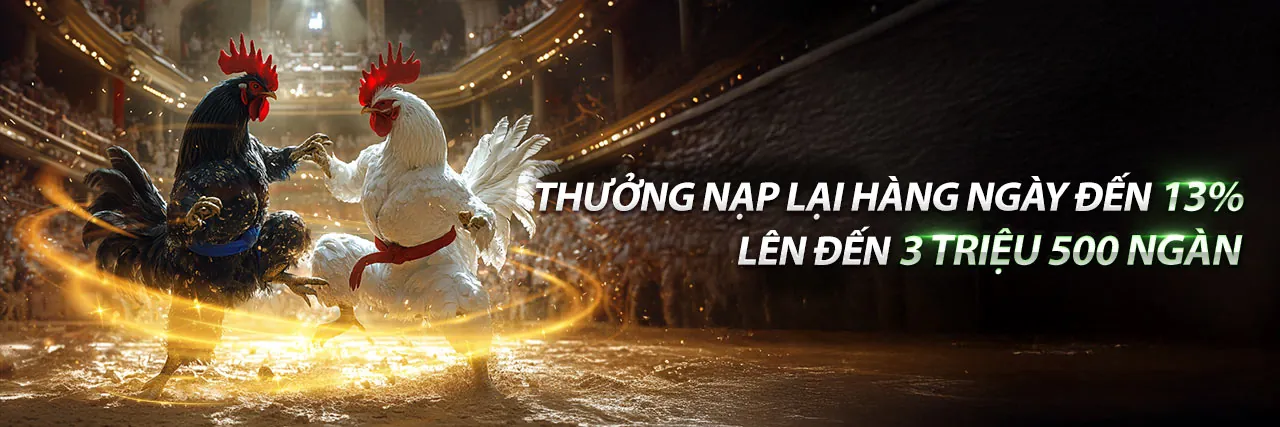 Đá gà trực tiếp kịch tính